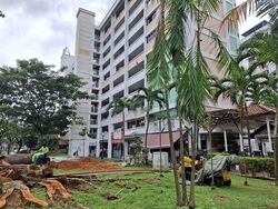 Hong Kah Ville (D22), Shop House #514660801